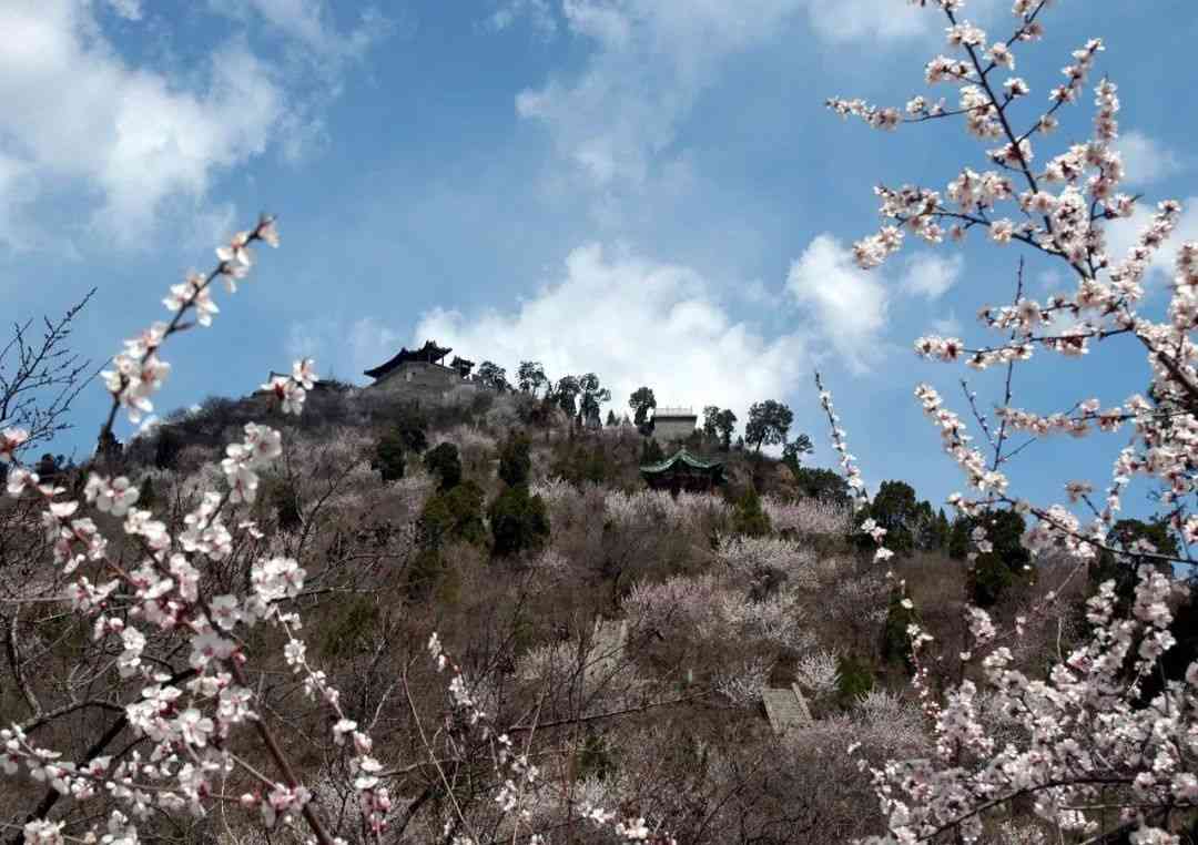 观冰河赏春花，这个景区可赏两季景色