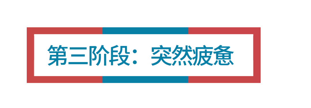 开服15天，我玩《动物森友会》总结的39条教训