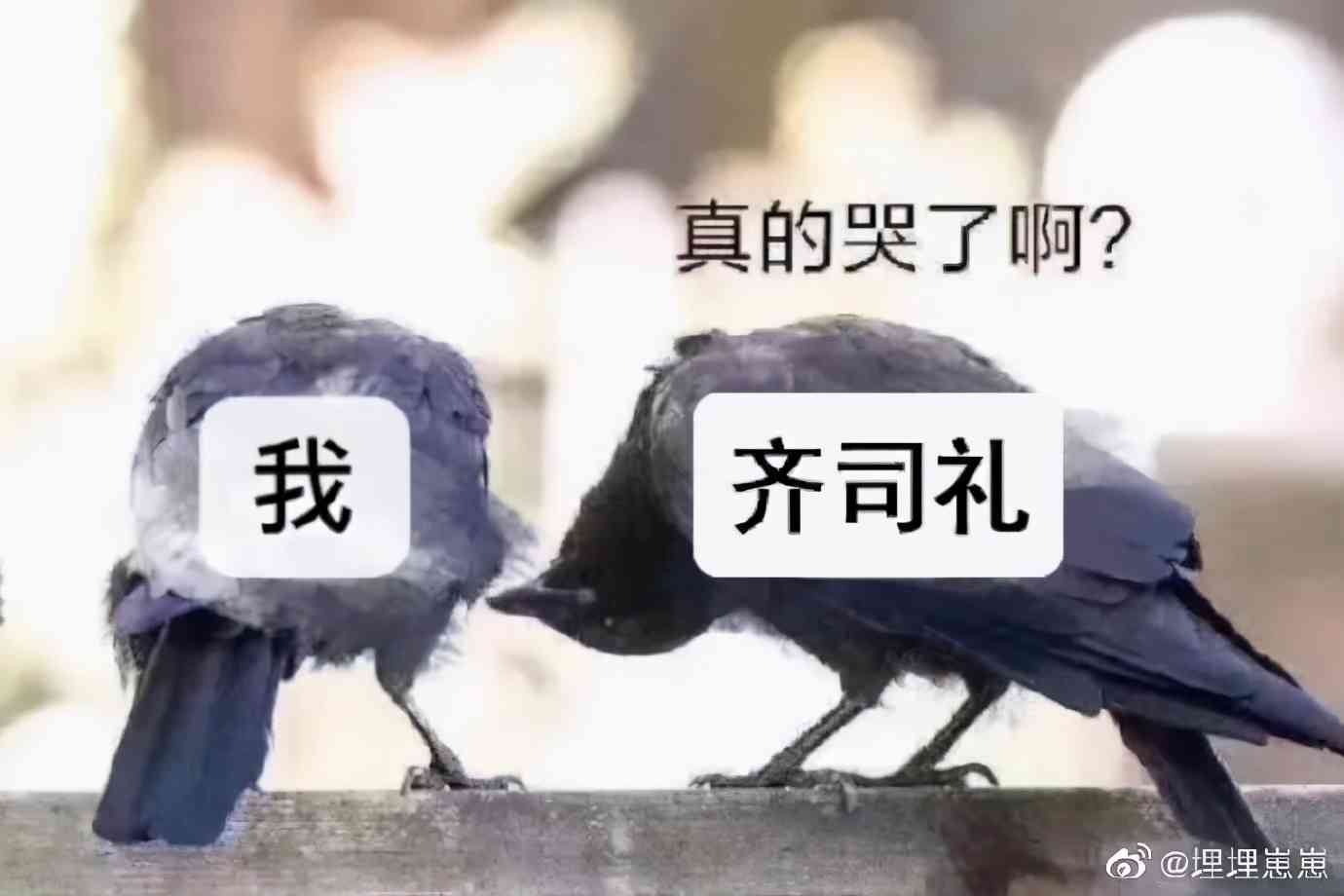 疯狂整活，《光与夜之恋》这波是土味的胜利