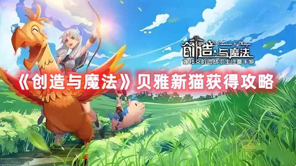 《创造与魔法》贝雅新猫获得攻略