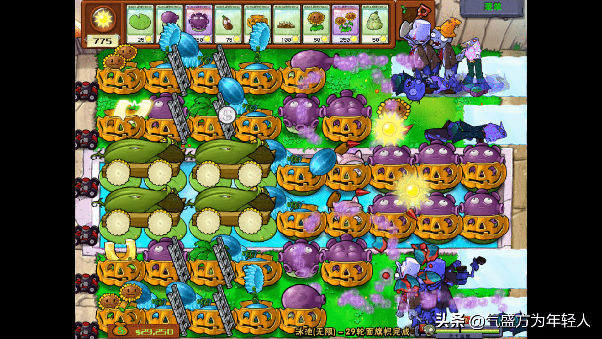 植物大战僵尸阵型有那些,植物大战僵尸最佳阵型分析2022