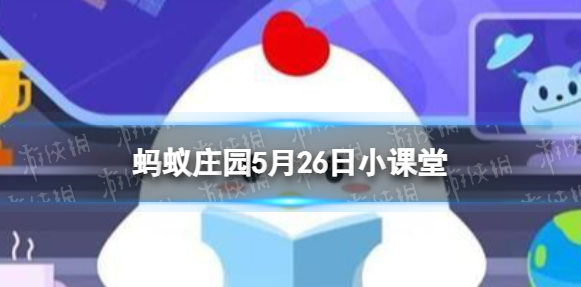 牙齿上的小白点是为什么,蚂蚁庄园5月26日牙齿上小白点答案