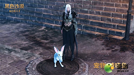 黑色沙漠手游喳喳兔如何获得,喳喳兔获取途径详细讲解